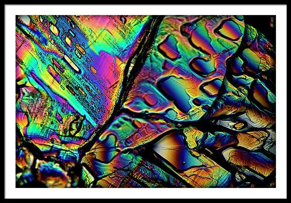 Blithe - Framed Print