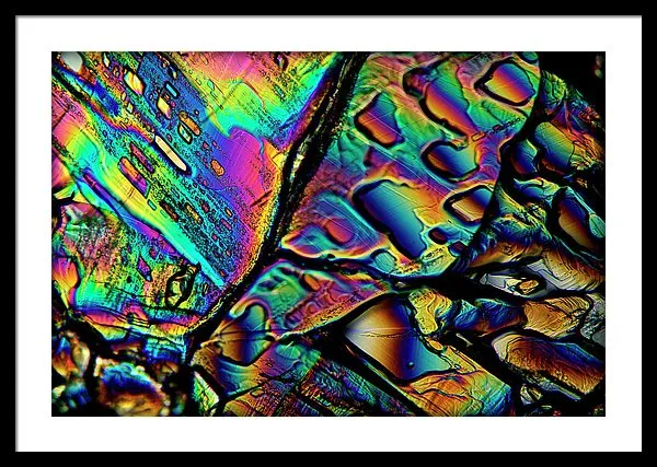 Blithe - Framed Print