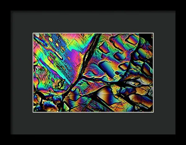 Blithe - Framed Print