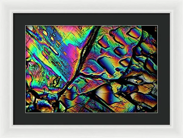 Blithe - Framed Print