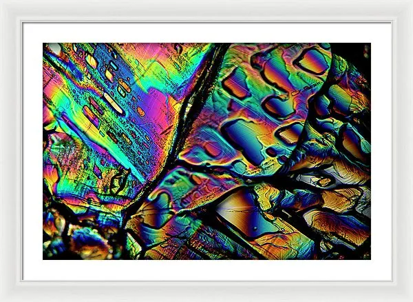 Blithe - Framed Print