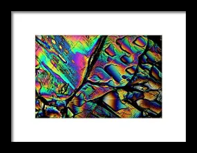 Blithe - Framed Print