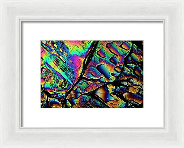Blithe - Framed Print