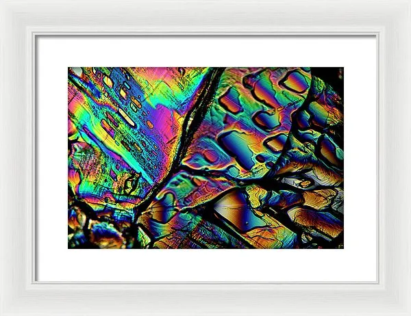 Blithe - Framed Print