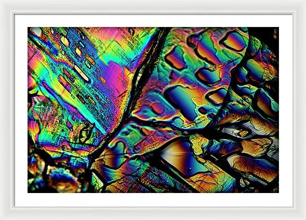 Blithe - Framed Print