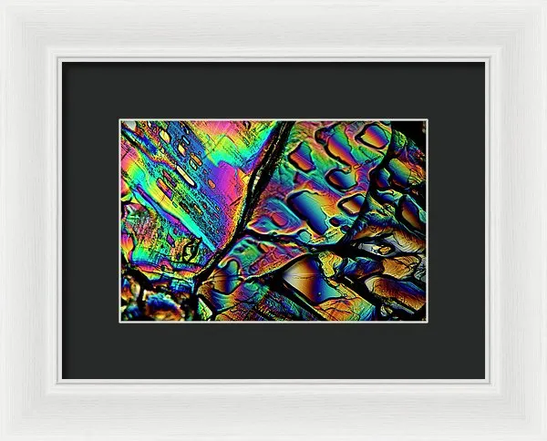 Blithe - Framed Print