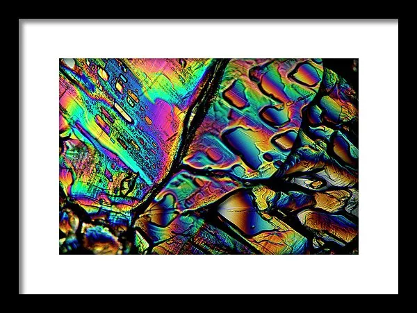 Blithe - Framed Print
