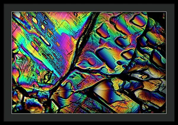 Blithe - Framed Print
