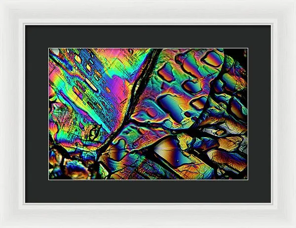 Blithe - Framed Print