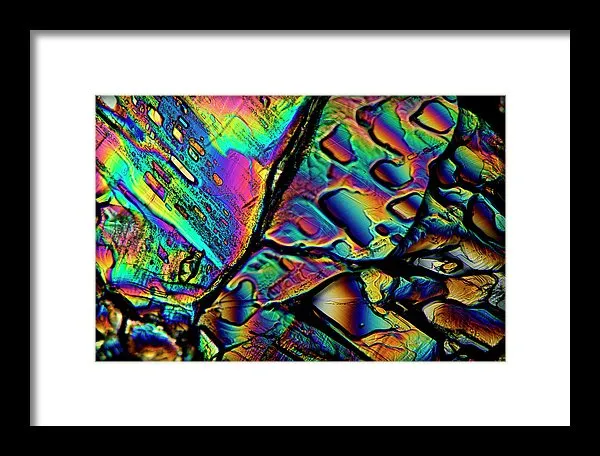 Blithe - Framed Print