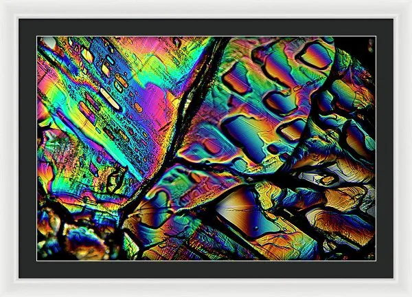 Blithe - Framed Print