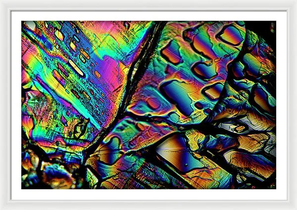 Blithe - Framed Print