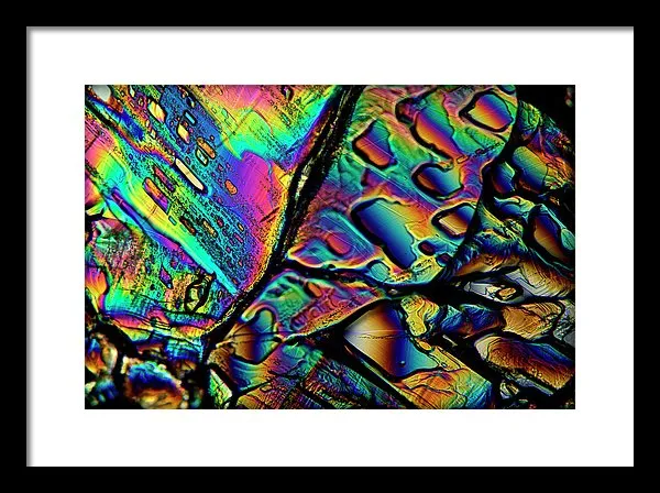 Blithe - Framed Print