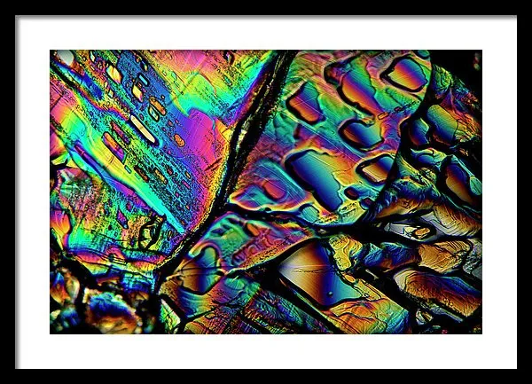Blithe - Framed Print