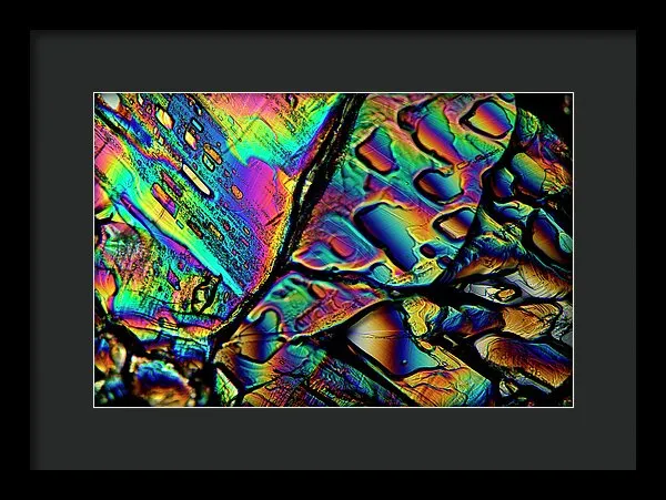 Blithe - Framed Print