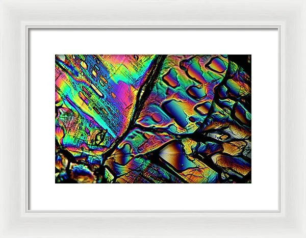 Blithe - Framed Print