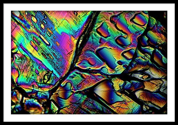 Blithe - Framed Print
