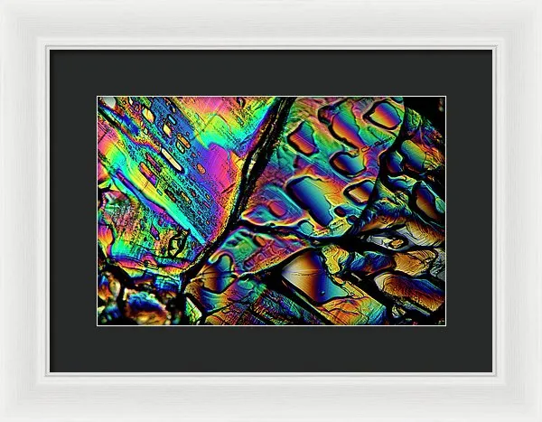 Blithe - Framed Print