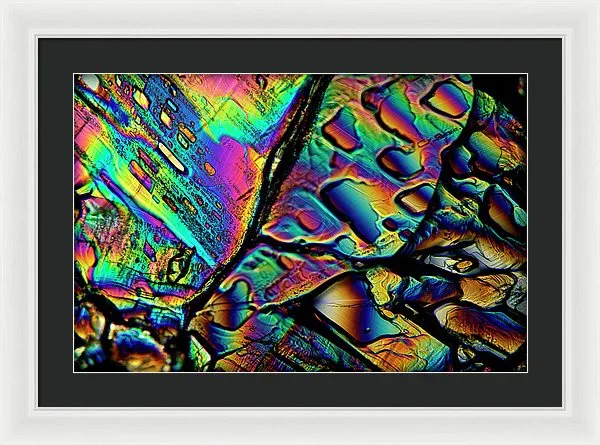 Blithe - Framed Print