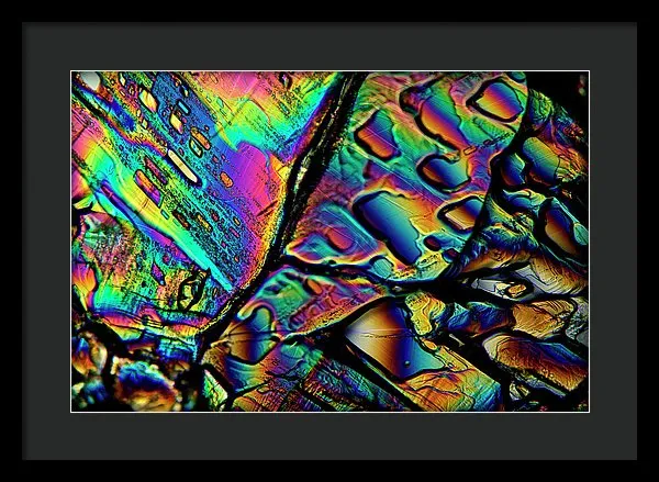 Blithe - Framed Print