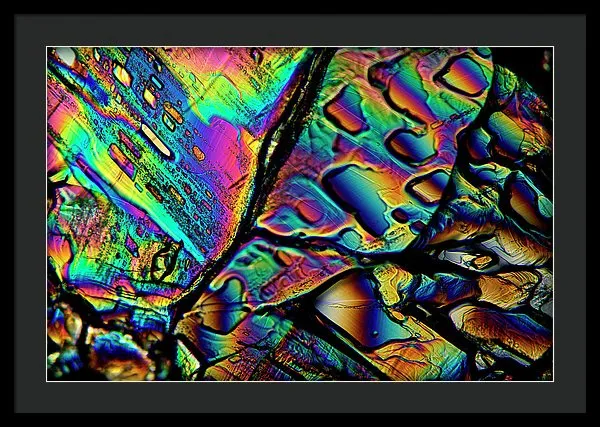 Blithe - Framed Print