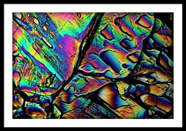 Blithe - Framed Print