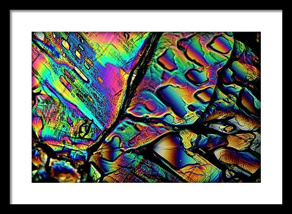 Blithe - Framed Print