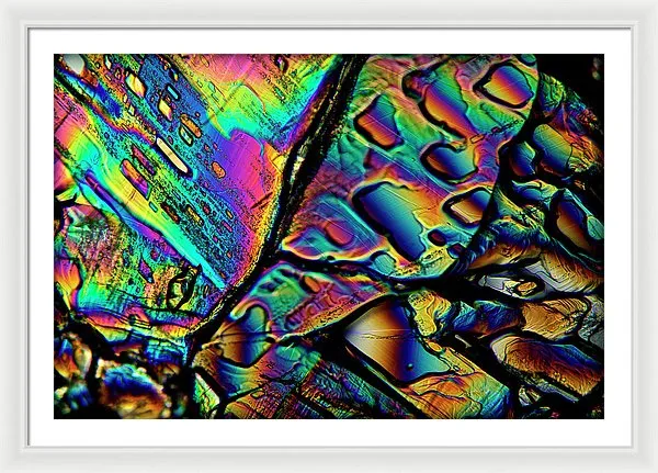 Blithe - Framed Print
