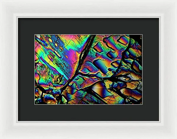 Blithe - Framed Print