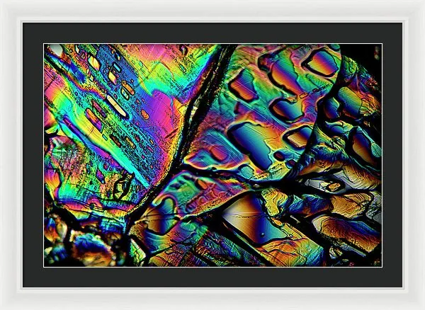 Blithe - Framed Print