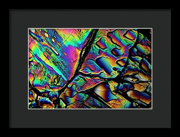 Blithe - Framed Print