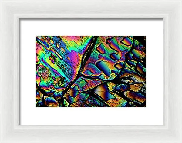 Blithe - Framed Print