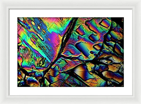 Blithe - Framed Print