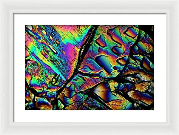 Blithe - Framed Print