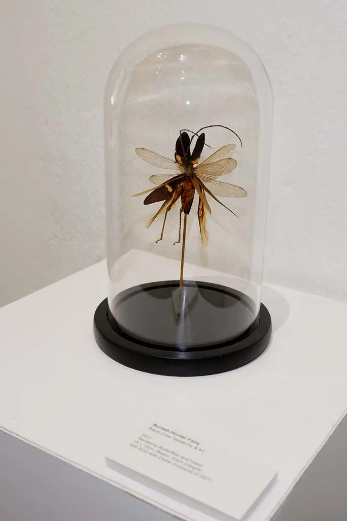 Chimera Taxidermy - Sunset Hunter Fairy