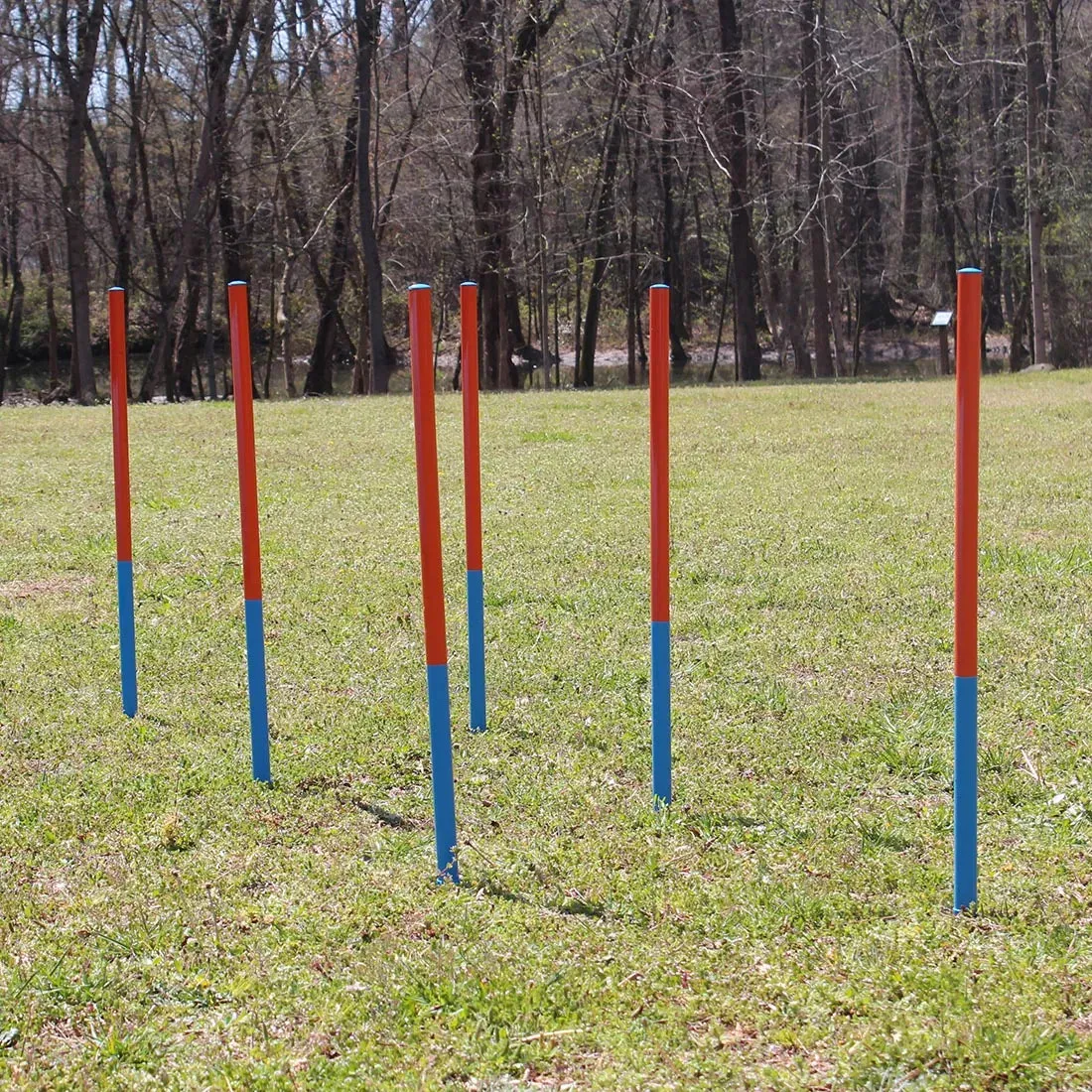 Dog Agility Set