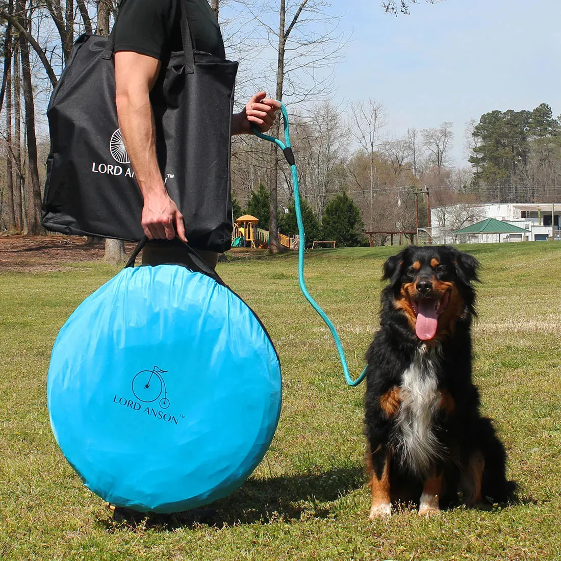 Dog Agility Set