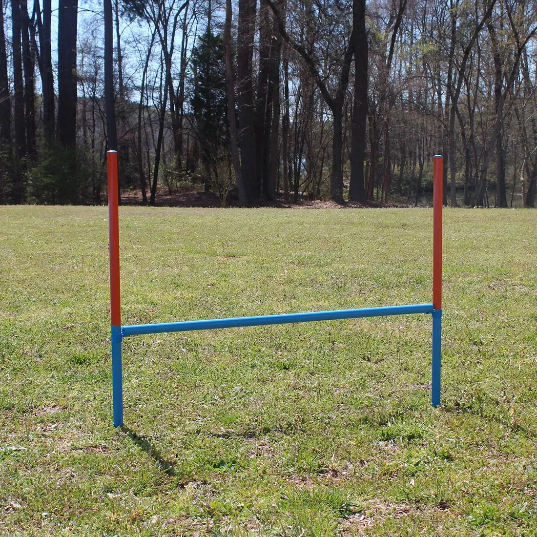 Dog Agility Set