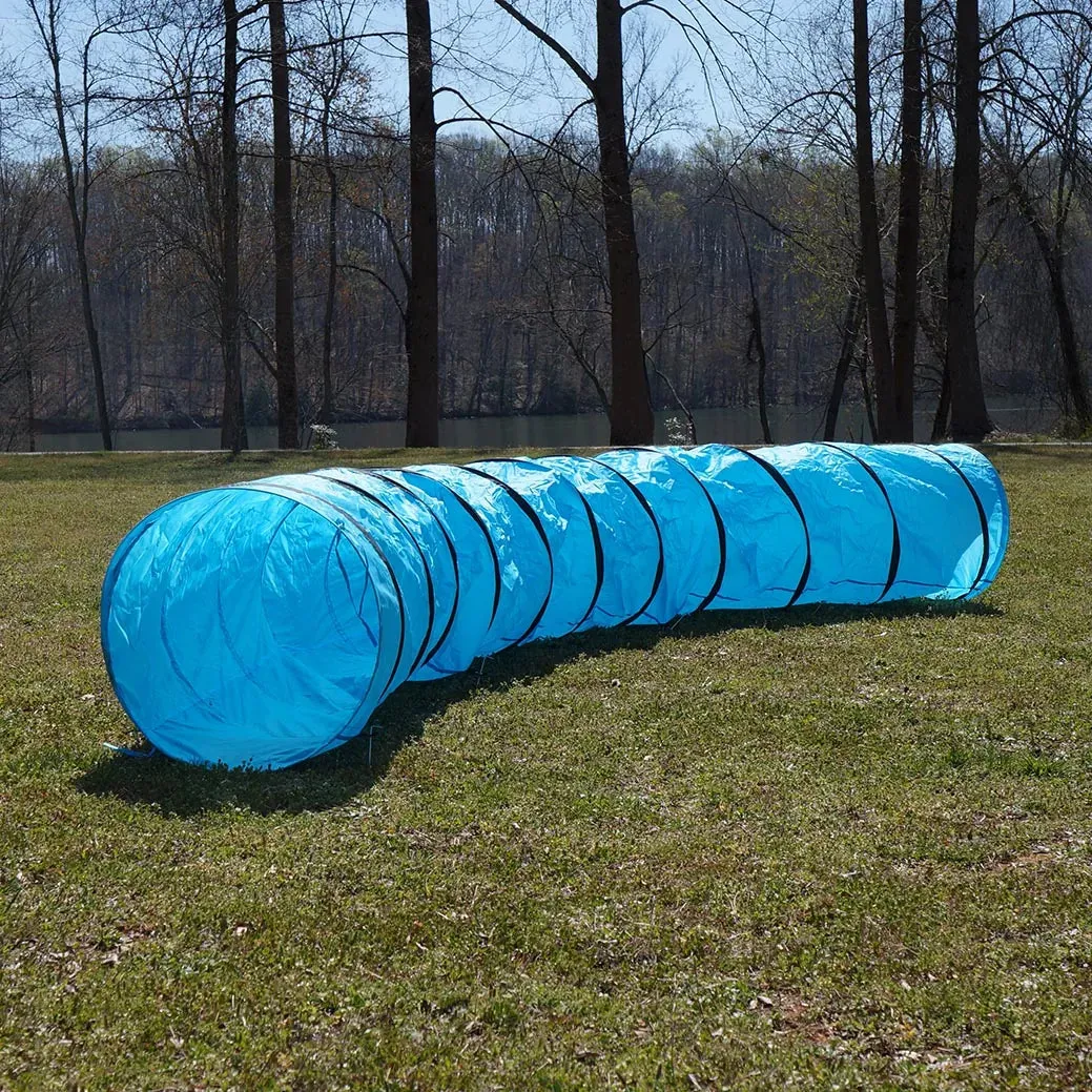 Dog Agility Set
