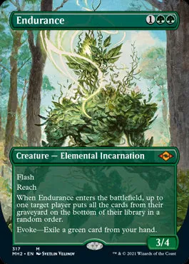 Endurance Borderless