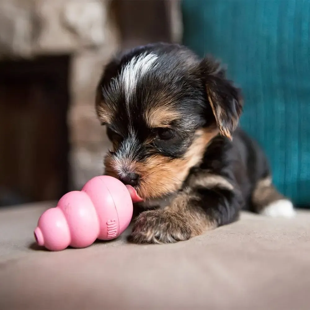 KONG Puppy Dog Toy